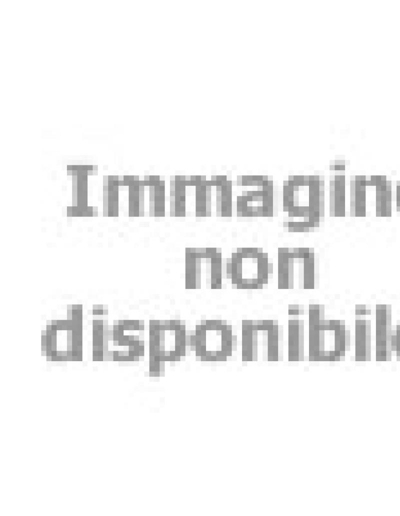 eventianimazione en high-altitude-entertainers 023
